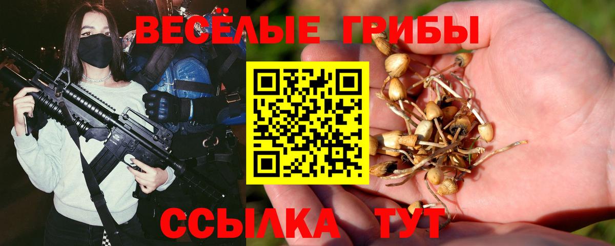как найти закладки  Псилоцибиновые грибы мухоморы  Вход с VPN  Рубцовск 